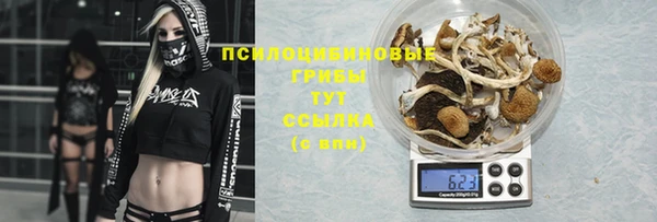 наркотики Алексин
