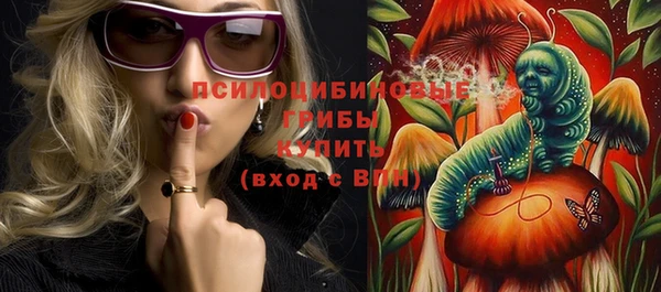гашик Алзамай