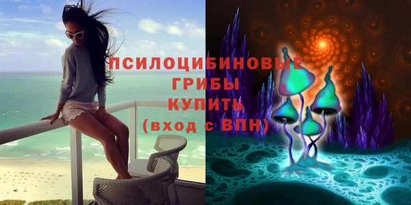 гашик Алзамай