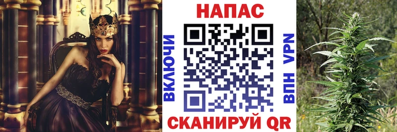 купить наркотики сайты  Моздок  нарко площадка формула  Конопля тримм 
